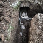 газ в Волхове