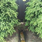 газ Большая-Ижора